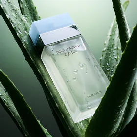 Dolce&Gabbana Light Blue Eau de Toilette für Frauen 100 ml